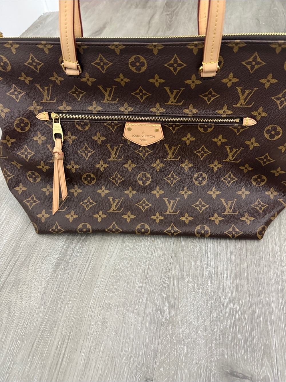 Louis Vuitton IENA MM MNG Handbag